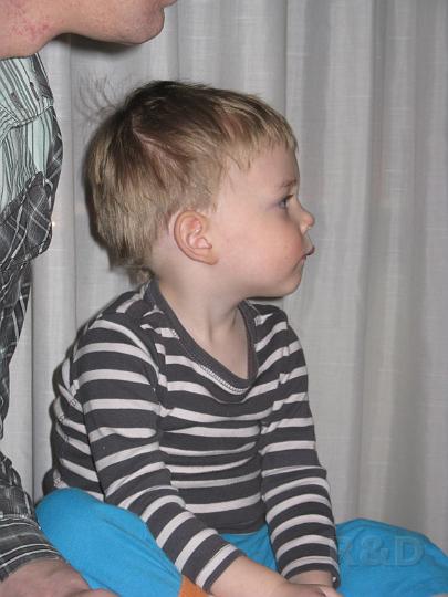 Imme 2 januari 2009 (2).JPG